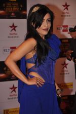 Shibani Kashyap at Big Star Awards red carpet in Mumbai on 16th Dec 2012 (179).JPG